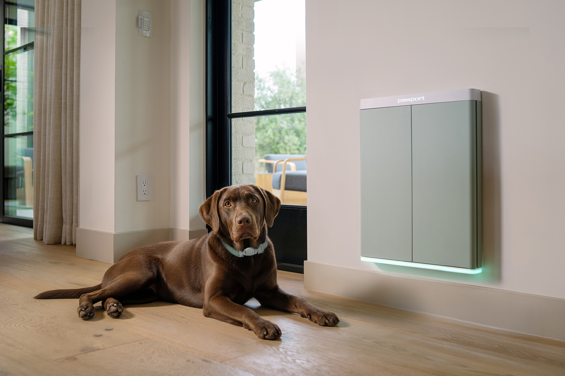 Chocolate Lab next to a Chamonix-finish PawPort Smart Pet Door installed in wall