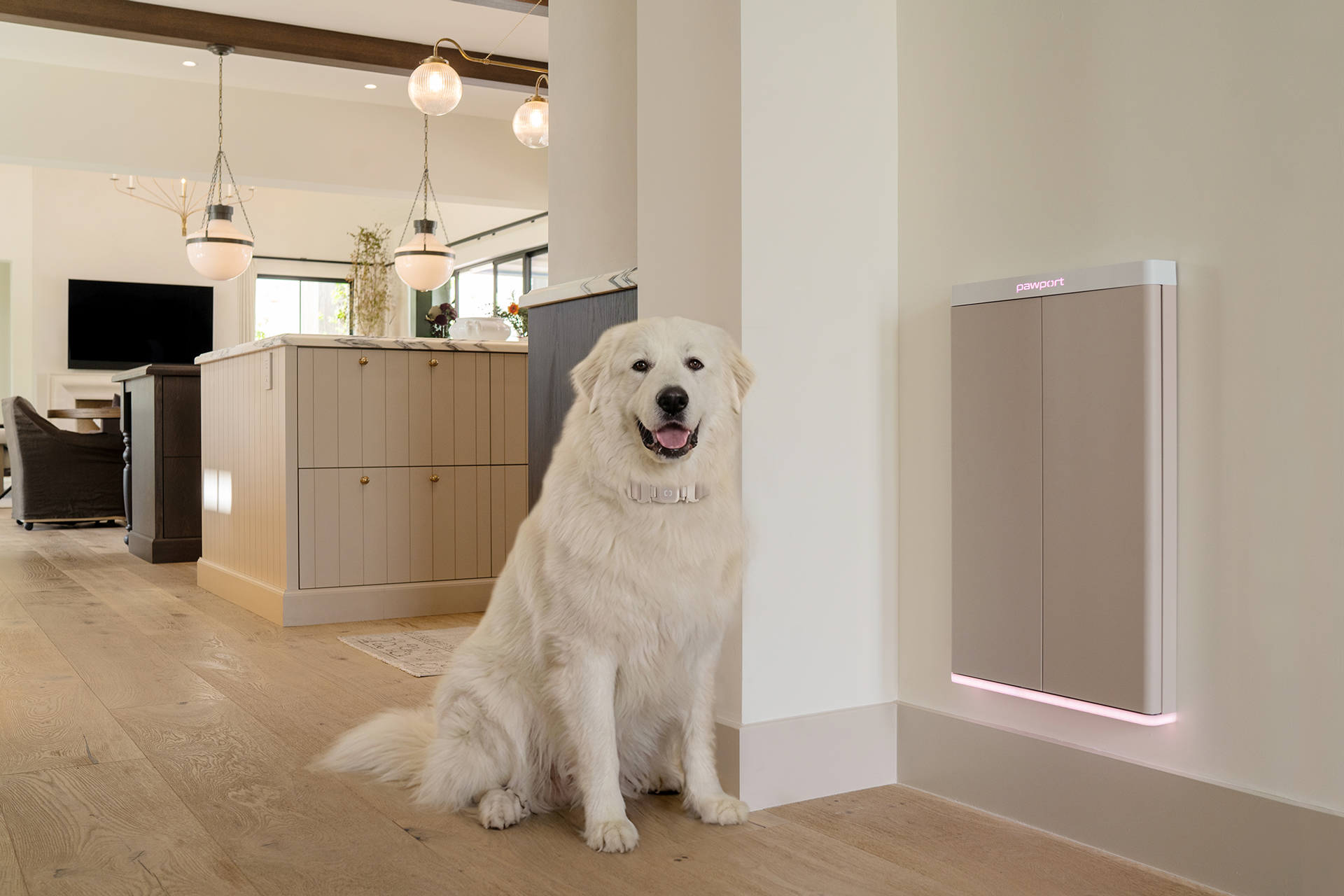 Great Pyrenees sitting next to a Rose-finish PawPort Smart Pet Door